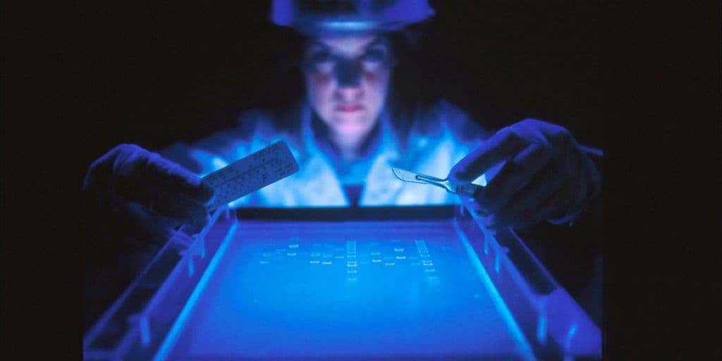 Top 5 Blood Markers That Could Predict Future Health Issues and How to Test for Them