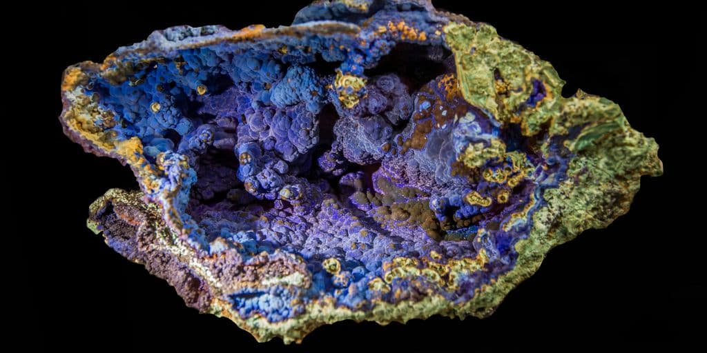 Selenium: An Essential Mineral for Immunity and Thyroid Health