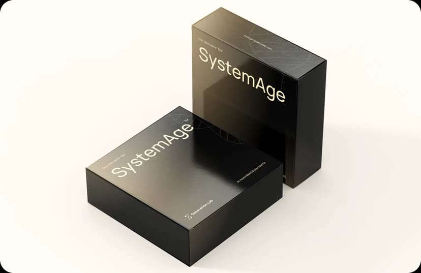 SystemAge Test + Action Plan